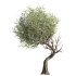 Tree set 001 - Thumbnail 1