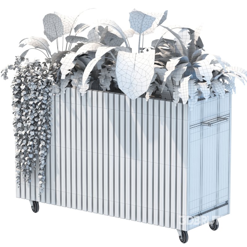 Plant Set 06 Image 2