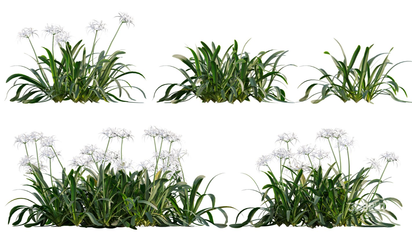 Collection 04 – Tropical Garden Image 13