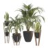 Black Metal Plant Set - Thumbnail 6
