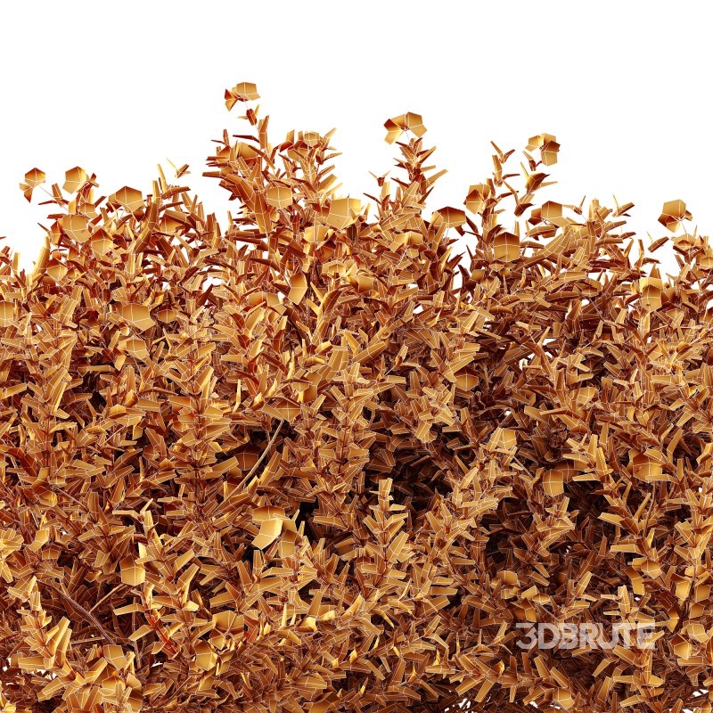 ntal shrubs that capture the natural charm and density of this iconic Australian plant. Perfectly suited for realistic landscape and architectural rendering. Image 9