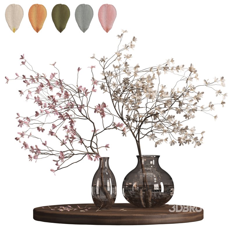 Indoor plant 075 Image 2