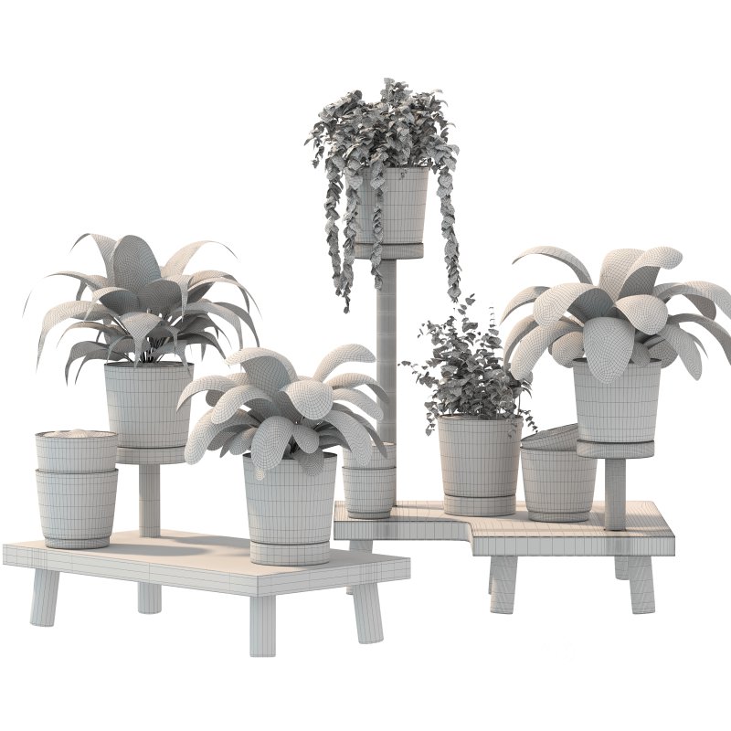 Wooden Stand Plant Image 2