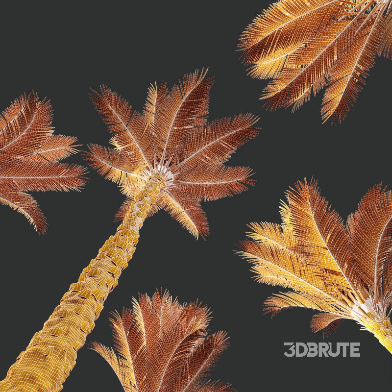 AV Phoenix Dactylifera Date Jurassic Palm Tree and Ash Maple Tree Image 10