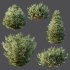 ntal olive shrubs designed for realistic architectural visualization and Mediterranean landscape rendering. - Thumbnail 8