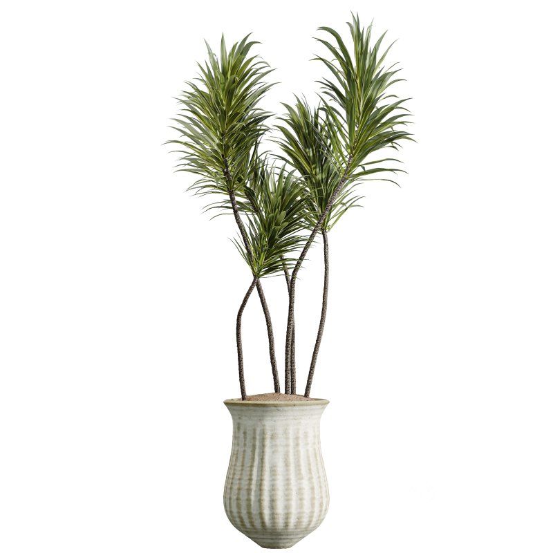 AV Indoor Plants Set 392 Image 1