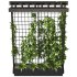Vertical Garden Trellis 02 - Thumbnail 6