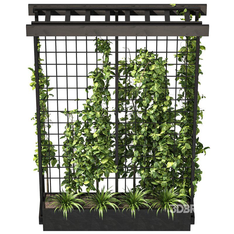 Vertical Garden Trellis 02 Image 6