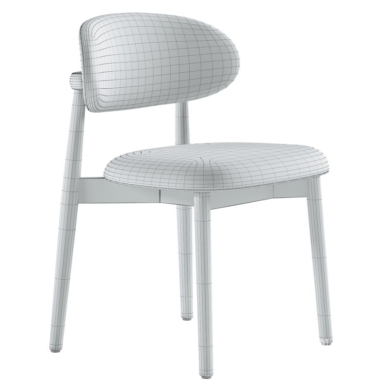 Willow Dining Chair Image 3