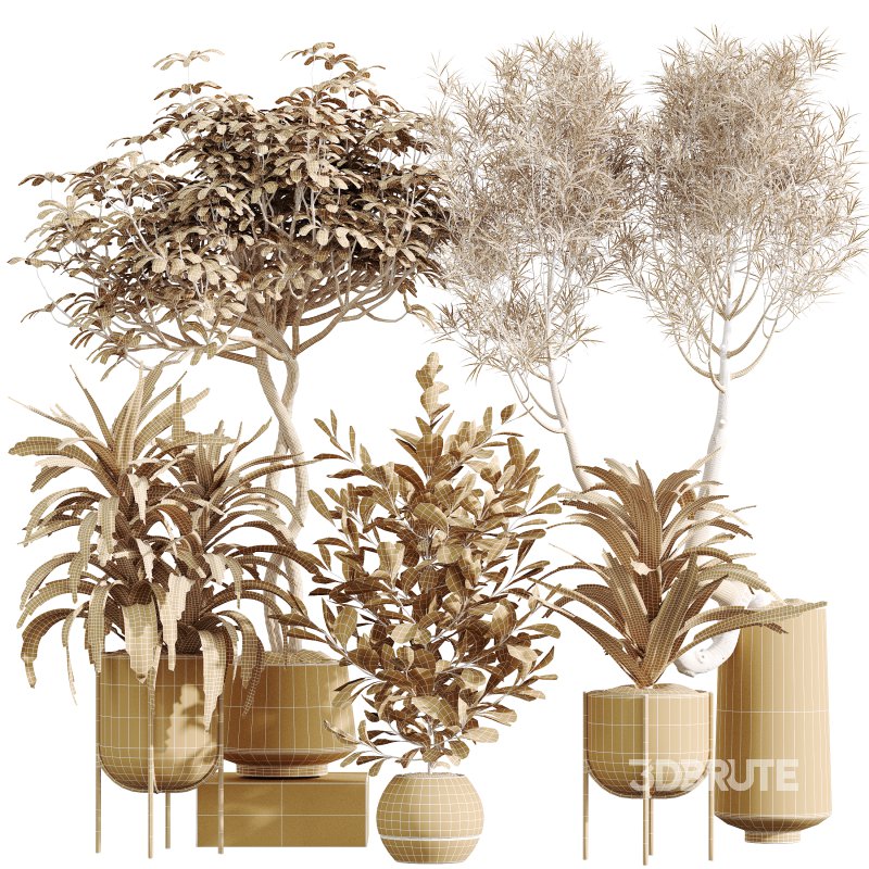 AV Indoor Plants Set 373 Japandi Decorative and Dracaena Warnecki and Ficus microcarpa and Schefflera Arboricola Image 8