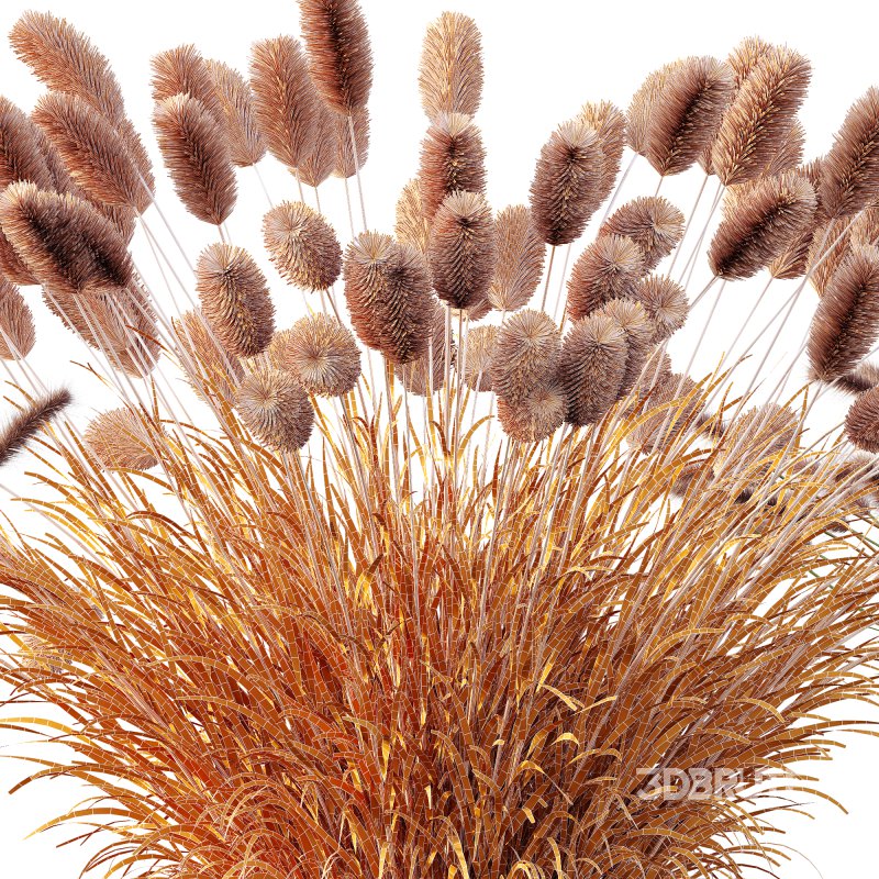 ntal fountain grass, designed for realistic exterior and landscape visualizations. Image 10