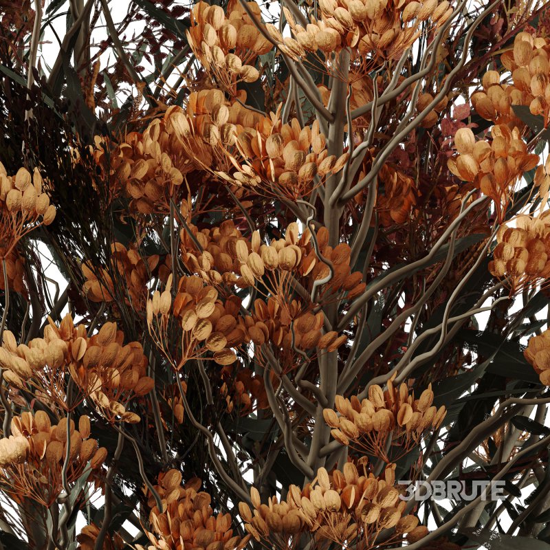 Bouquet of flowers set 008 Image 2