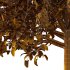 Lilac Syringa Vulgaris Tree 01 - Thumbnail 4