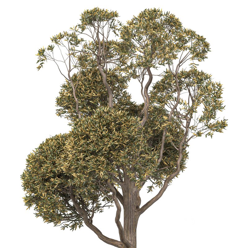 Urban Furniture 12 Image 7