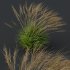 ntal grasses, designed for photorealistic landscape visualizations. - Thumbnail 5
