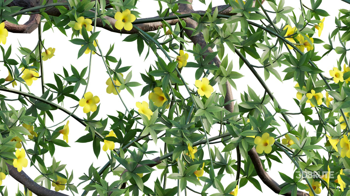 Collection 18 – Chinese garden Image 5