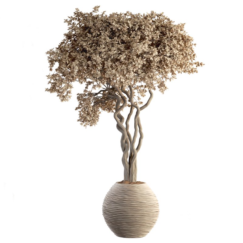 Indoor Plant Set 030 Image 2