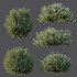 ntal shrubs designed for realistic landscape and architectural visualization. - Thumbnail 6