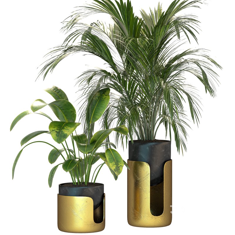 Plant Set 12 Image 4