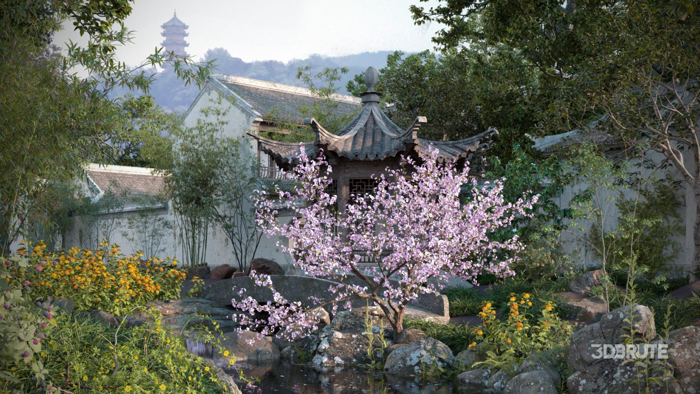 Collection 18 – Chinese garden Image 1