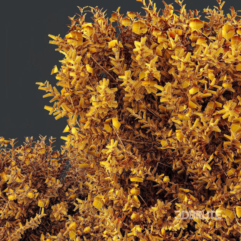 ntal shrubs that capture the natural charm and density of this iconic Australian plant. Perfectly suited for realistic landscape and architectural rendering. Image 11