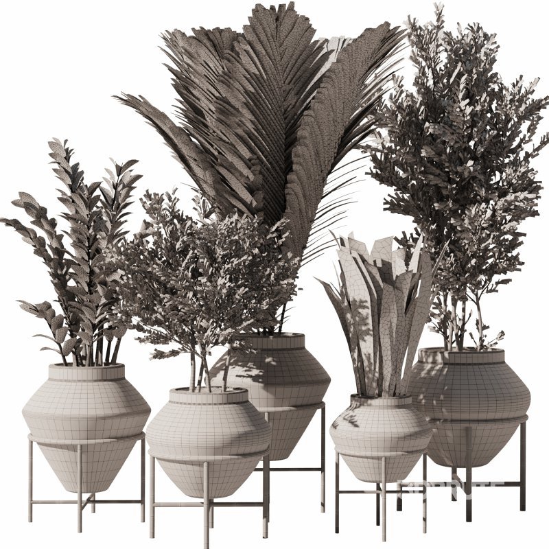 Indoor Plants Set 101 Image 6