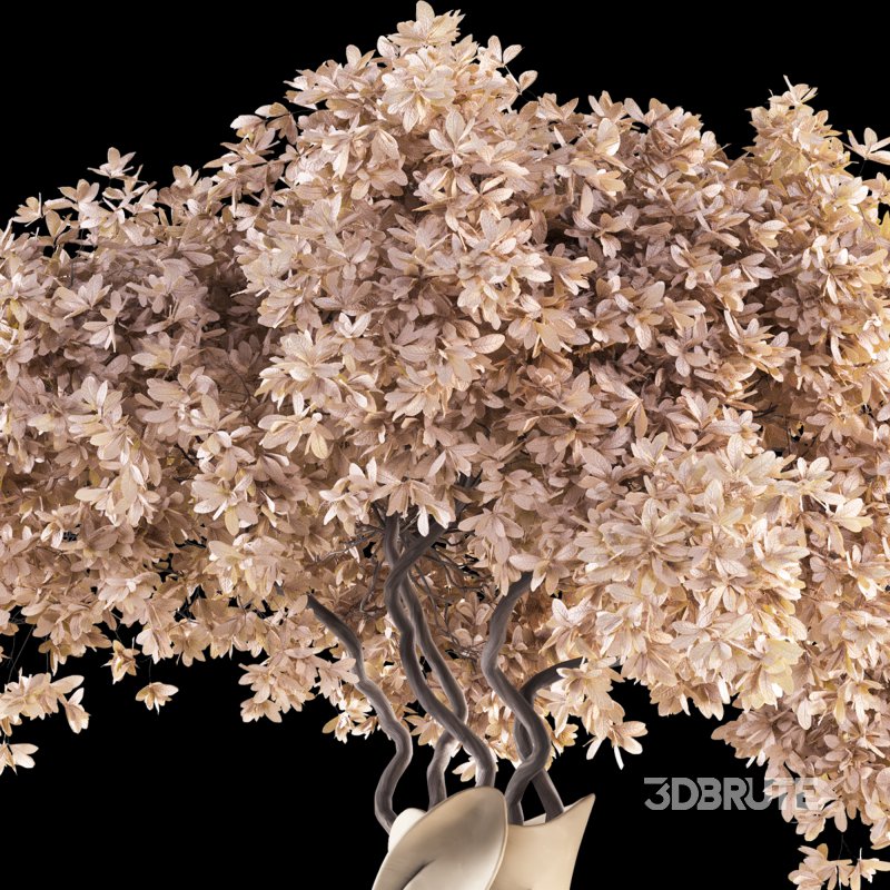 Flowers in Vase Collection 46 Image 5