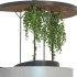 Urban Furniture & English Ivy - Thumbnail 6