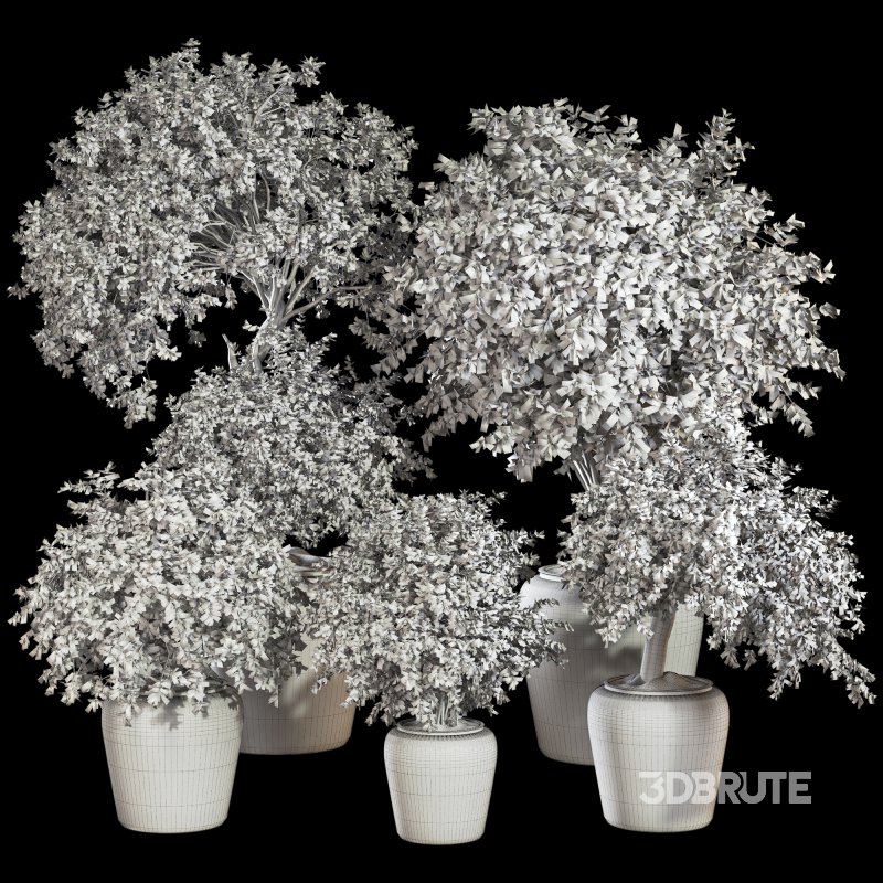 Indoor Plant Set 029 Image 7