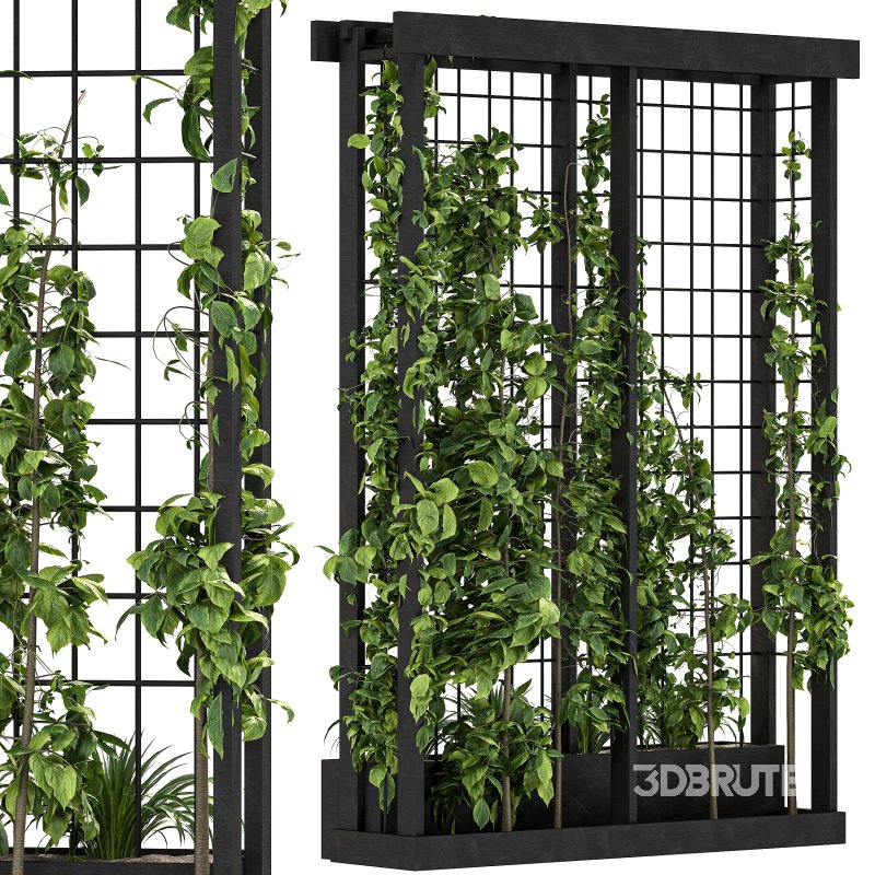 Vertical Garden Trellis 02 Image 7