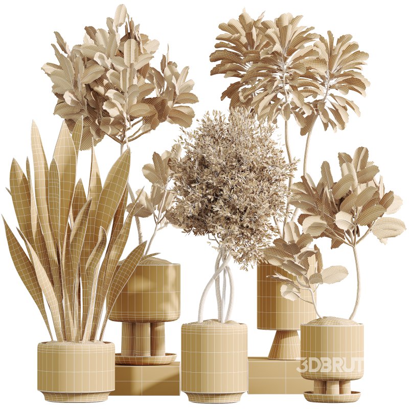 AV Indoor Plants Set 374 Ficus Elastica and Euphorbia Drupifera and Olive Artificial and Snake Sansevieria Image 11