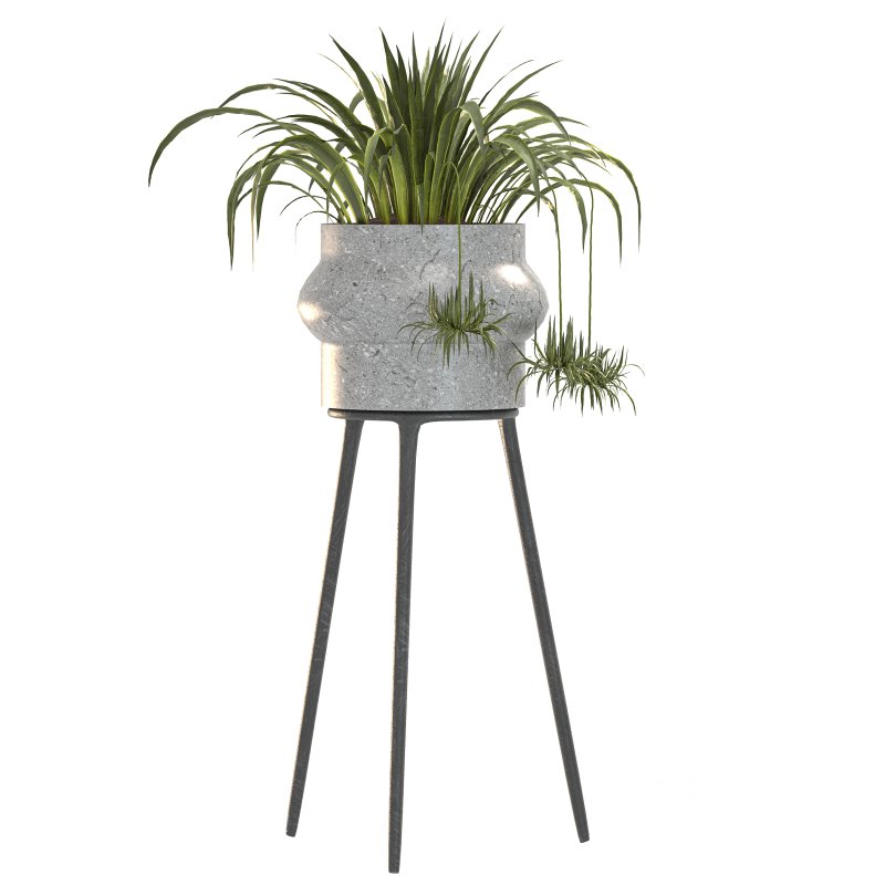 Concrete Pot Plant Set Image 1