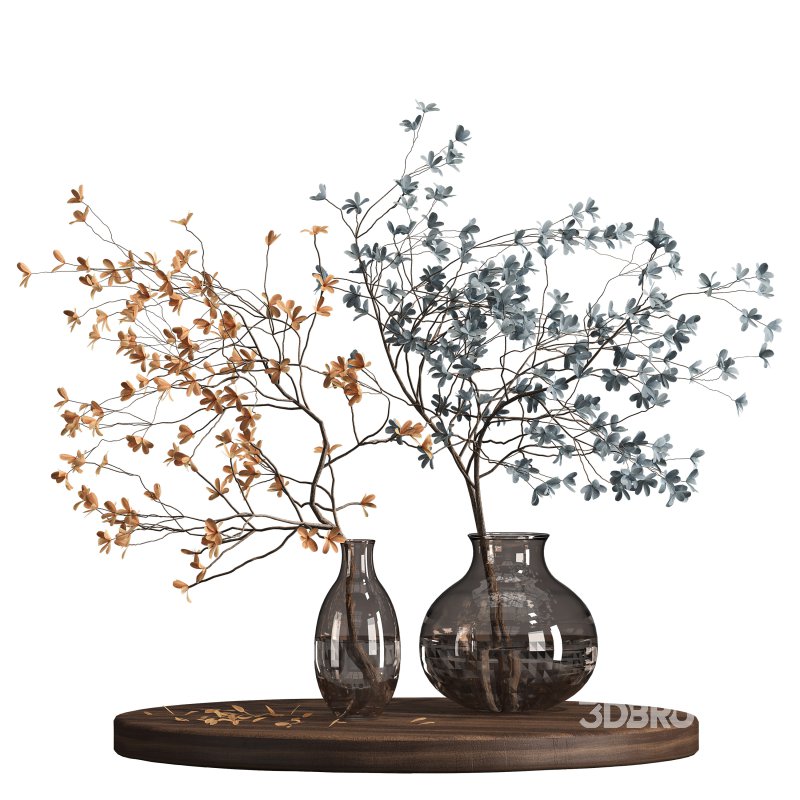 Indoor plant 075 Image 6