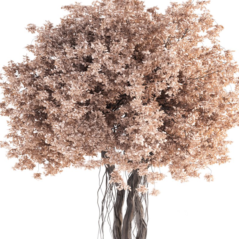 Indoor Plant Set 031 Image 3