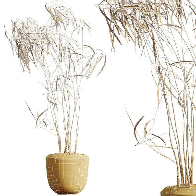 AV Indoor Plants Set 389 Ficus lyrata Fiddle Leaf and Yucca Aloifolia Rostrata and Ficus Dracaena Marginata Image 8