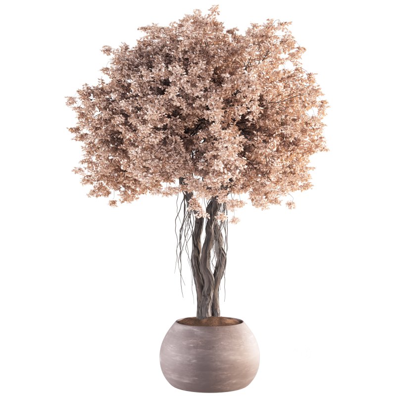 Indoor Plant Set 031 Image 2