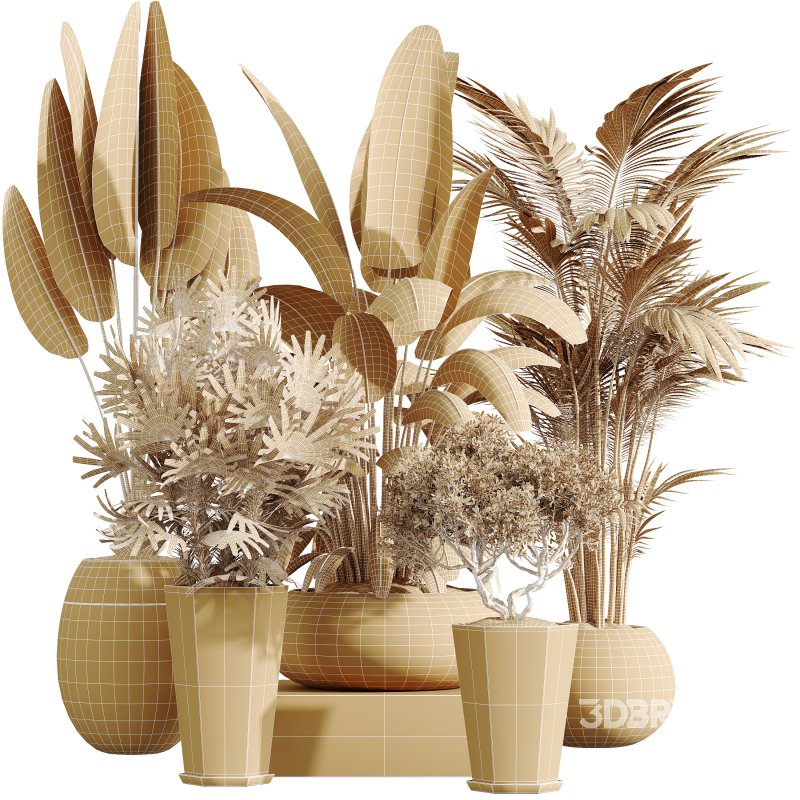 AV Indoor Plants Set 356 ParadiseBird and Arbequina Olive and Areca Palm and Rhapis Excelsa Image 7