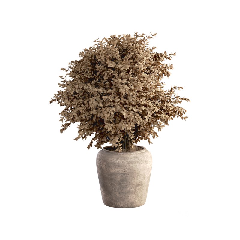 Indoor Plant Set 029 Image 6