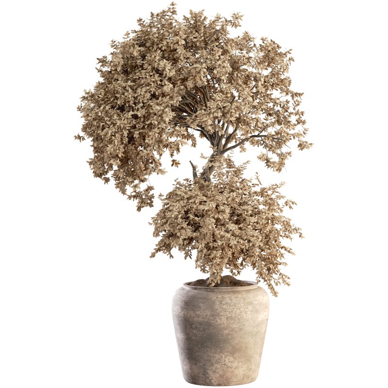 Indoor Plant Set 029 Image 2