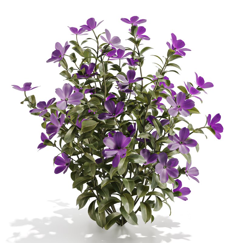 Purple Phlox Bush Arrangement Image 2