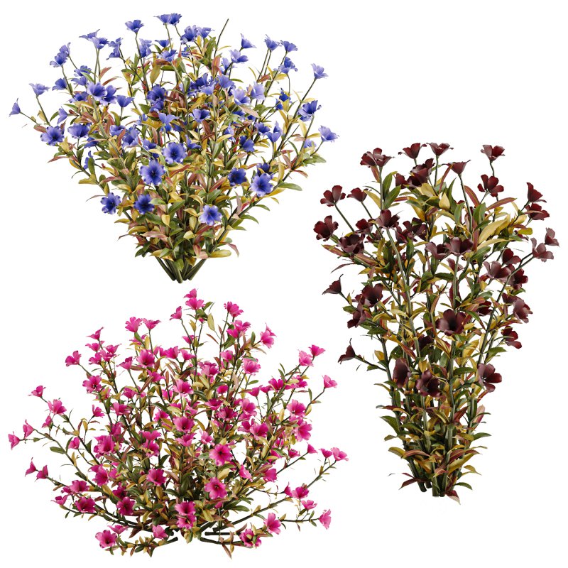 Multicolor Phlox Bush Arrangement Image 4