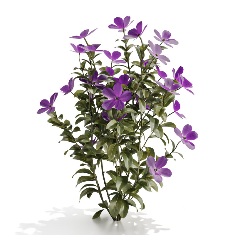Purple Phlox Bush Arrangement Image 3