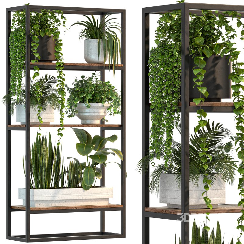 Metal Stand & Wooden Shelf Plant Image 6