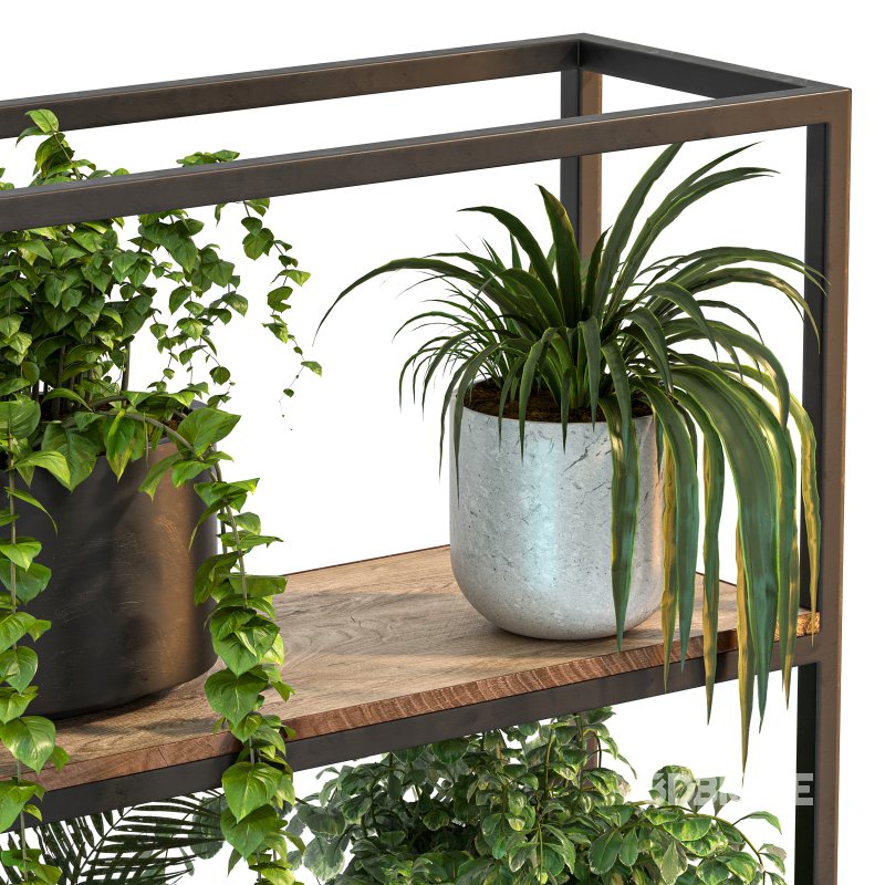 Metal Stand & Wooden Shelf Plant Image 8