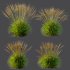 ntal grasses, designed for photorealistic landscape visualizations. - Thumbnail 9