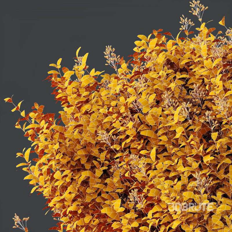 ntal shrubs, carefully crafted for high-quality landscape and architectural visualization. Image 10