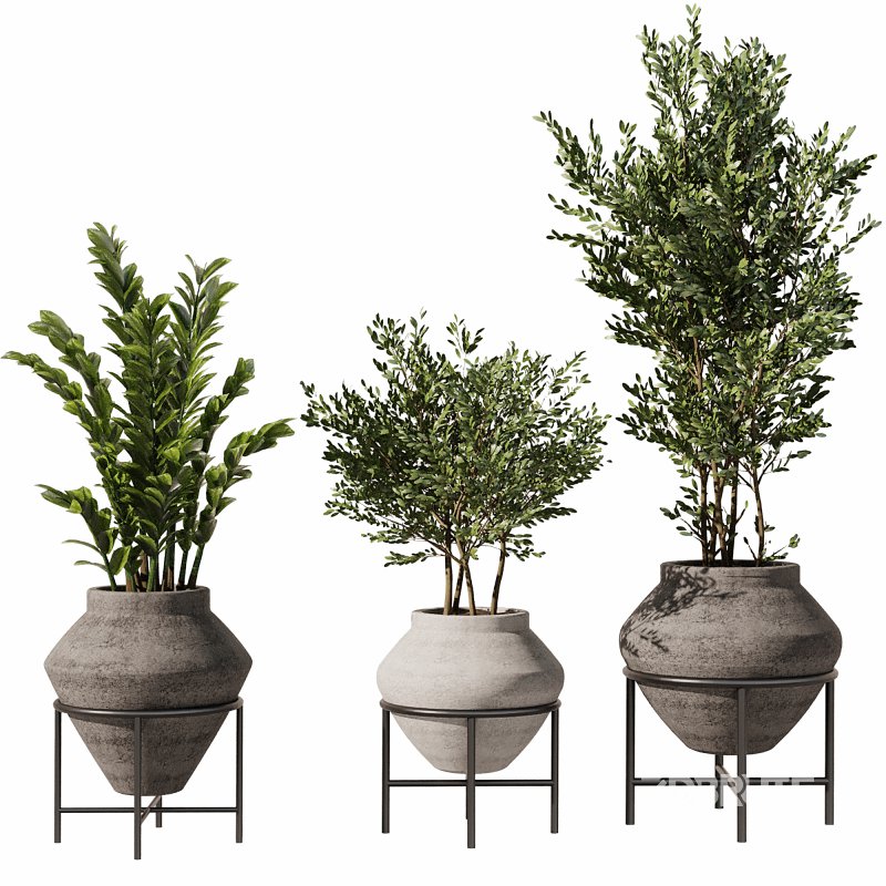 Indoor Plants Set 101 Image 5