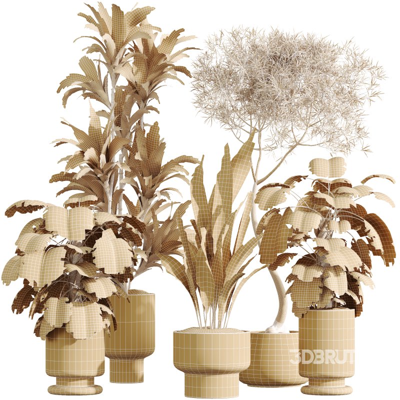 AV Indoor Plants Set 372 Monstera and Aspidistra and Japandi and Dracaena Warneckii Image 9