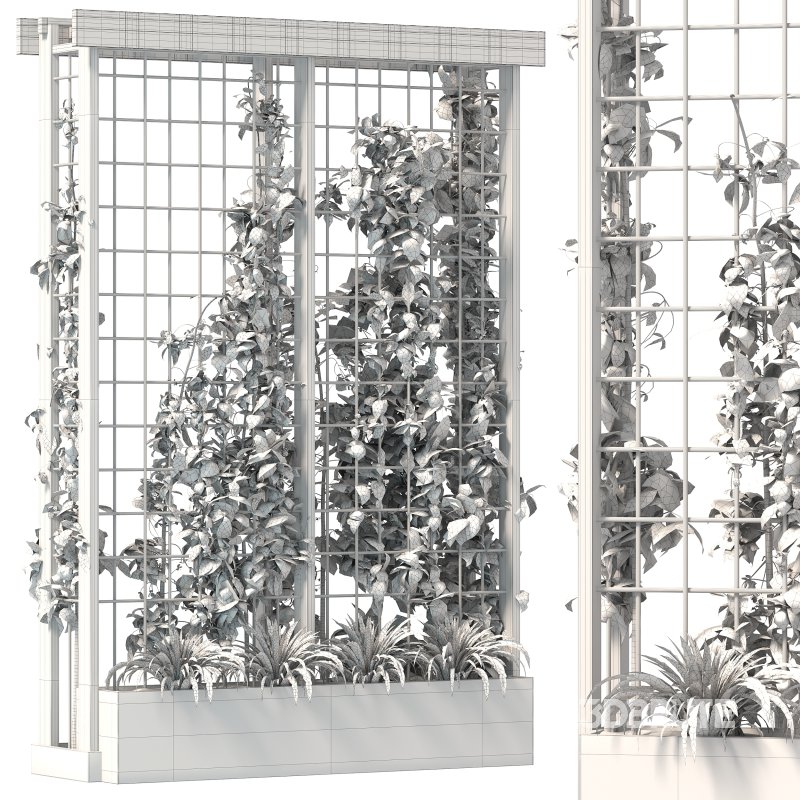 Vertical Garden Trellis 02 Image 4