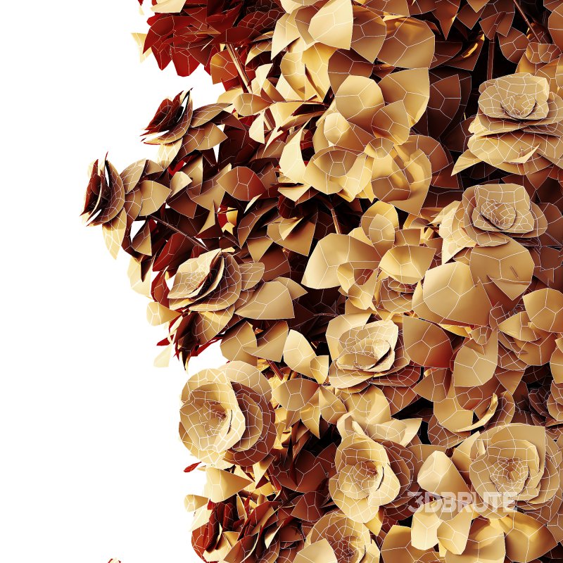 AV Plants Climbing Roses Bush Image 4